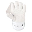 Pro Players LE Wicket Keeping Gloves (20/21)