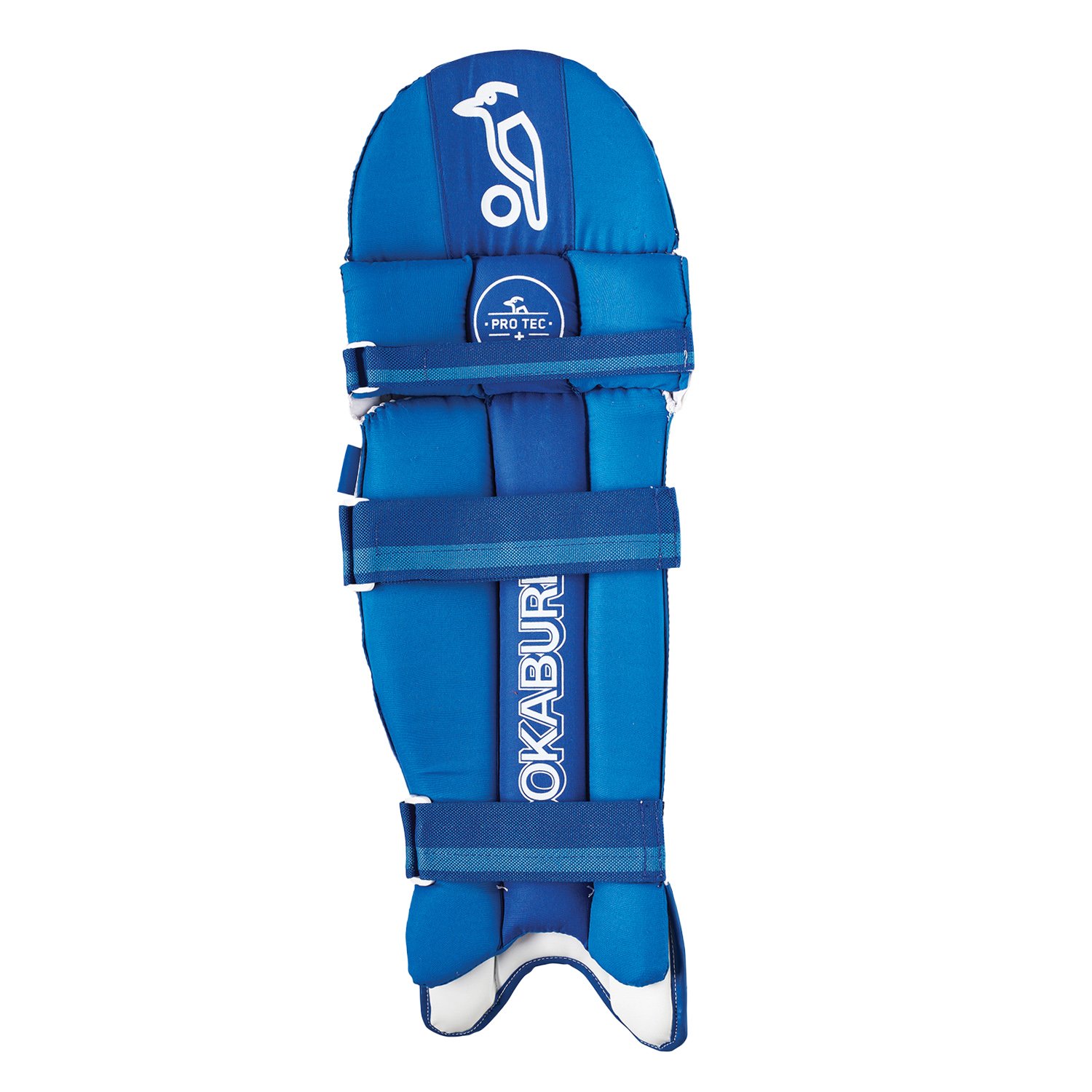pace pro fenix 5