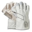 Original Wicket Keeping Gloves (20/21)