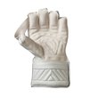 Original Wicket Keeping Gloves (20/21)