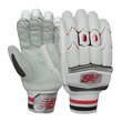 TC 1060 Gloves (20/21)