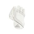 XT 1.0 Wicket Keeping Gloves (21/22)