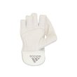 XT 1.0 Wicket Keeping Gloves (21/22)