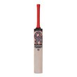 Player Edition Bat (20/21)