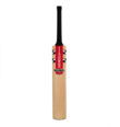 Delta Strike Kashmir Willow Bat (20/21)