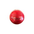 Junior Net Practice Cricket Ball