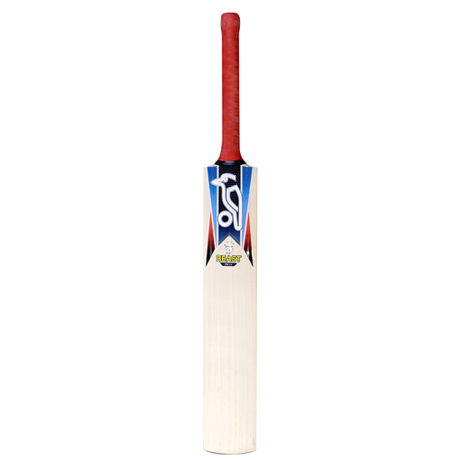 Retro Beast Pro 1.0 Bat (20/21)