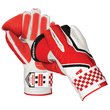 Indoor 1000 Wicket Keeping Gloves