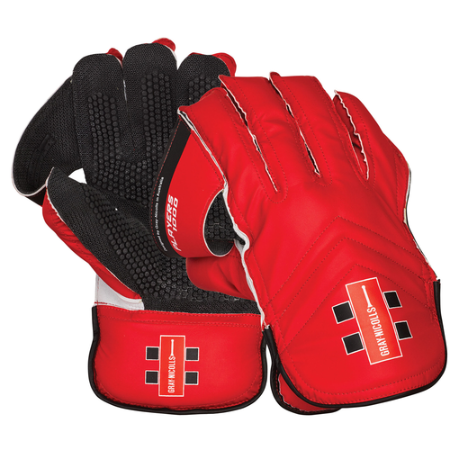 Players 1000 Wicket-Keeping Gloves (23/24)