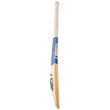 Pace Pro Players Bat (21/22)