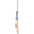 Pace Pro 3.0 Bat (21/22)