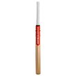 Technique 85 (English Willlow) Tech Bat