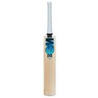 Diamond Original Limited Edition Bat (23/24)