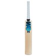 Diamond 707 Bat (22/23)