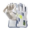 Prima Wicket-Keeping Gloves (22/23)