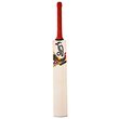 Beast Pro 9.0 Kashmir Willow Bat (22/23)