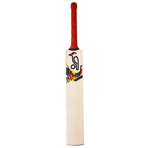 Beast Pro 9.0 Kashmir Willow Bat (22/23)