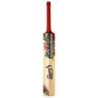 Beast Pro 9.0 Kashmir Willow Bat (22/23)