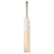 Concept 22 1.0 Bat (22/23)