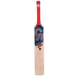 Plus 5000 Junior Bat