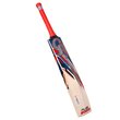 Plus 5000 Junior Bat