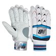 TC 1260 Batting Gloves (22/23)