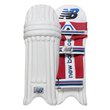 TC 660 Batting Pads (22/23)